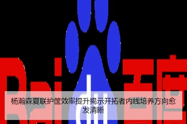 杨瀚森夏联护筐效率提升揭示开拓者内线培养方向愈发清晰