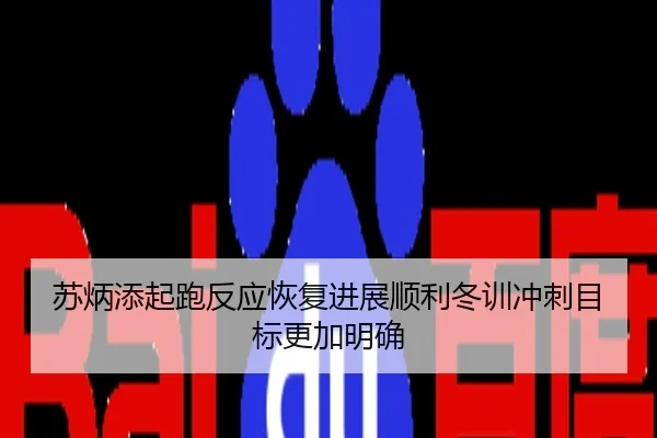 苏炳添起跑反应恢复进展顺利冬训冲刺目标更加明确